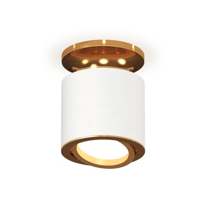 Накладной поворотный светильник Ambrella Light Techno XS7401120 (N7929, C7401, N7004)
