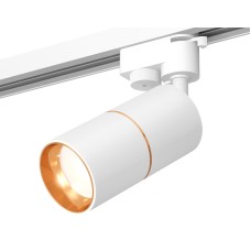 Трековый однофазный светильник Ambrella Light Track System XT6301020 (A2520, C6301, A2062, C6301, N6113)