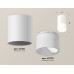 Потолочный светильник Ambrella Light Techno Spot XS7421025 (C7421, N7170)
