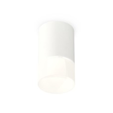 Потолочный светильник Ambrella Light Techno Spot XS7421025 (C7421, N7170)