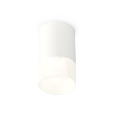 Потолочный светильник Ambrella Light Techno Spot XS7421025 (C7421, N7170)