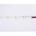 Светодиодная лента Ambrella Light Led Strip 12V Illumination 2835 14,4Вт/м 4500K 5м IP20 GS1312