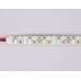 Светодиодная лента двухрядная Ambrella Light LED Strip 24В 2835 24Вт/м 3000K 5м IP20 GS3701