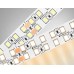 Светодиодная лента двухрядная Ambrella Light LED Strip 24В 2835 24Вт/м 3000K 5м IP20 GS3701