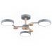 Люстра на штанге Ambrella Light FL FL4856