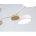 Люстра на штанге Ambrella Light FL FL4858