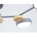 Люстра на штанге Ambrella Light FL FL4859