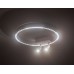 Накладной светильник Ambrella Light FL FL5805