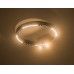 Накладной светильник Ambrella Light FL FL5806