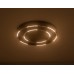 Накладной светильник Ambrella Light FL FL5822