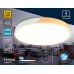 Накладной светильник Ambrella Light FZ FZ1300