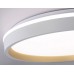 Накладной светильник Ambrella Light FZ FZ607