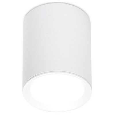 Накладной светильник Ambrella Light TN TN215