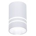 Накладной светильник Ambrella Light TN TN236
