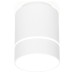 Накладной светильник Ambrella Light TN TN256