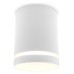 Накладной светильник Ambrella Light TN TN3202