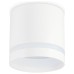Накладной светильник Ambrella Light TN TN5371