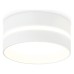 Накладной светильник Ambrella Light TN TN5391