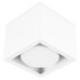 Накладной светильник Ambrella Light TN TN705