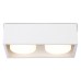 Накладной светильник Ambrella Light TN TN70828