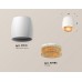 Накладной светильник Ambrella Light XS XS1141024