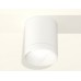 Накладной светильник Ambrella Light XS XS6301020
