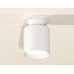 Накладной светильник Ambrella Light XS XS6301100
