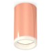 Накладной светильник Ambrella Light XS XS6326020