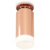 Накладной светильник Ambrella Light XS XS6326082