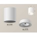Накладной светильник Ambrella Light XS XS7421020