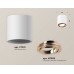 Накладной светильник Ambrella Light XS XS7531005