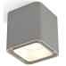 Накладной светильник Ambrella Light XS XS7842001