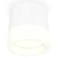 Накладной светильник Ambrella Light XS XS8110001