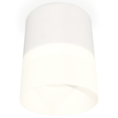 Накладной светильник Ambrella Light XS XS8110002