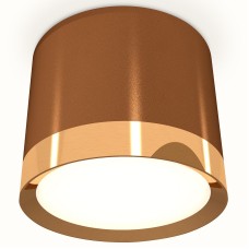 Накладной светильник Ambrella Light XS XS8117001