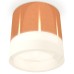 Накладной светильник Ambrella Light XS XS8122010