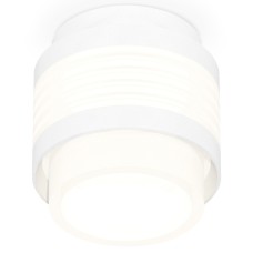 Накладной светильник Ambrella Light XS XS8431001