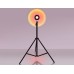 Настольная лампа декоративная Ambrella Light DE DE8387