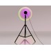 Настольная лампа декоративная Ambrella Light DE DE8387