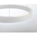 Подвесной светильник Ambrella Light FL FL5887