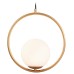 Подвесной светильник Ambrella Light TR TR2594