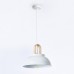 Подвесной светильник Ambrella Light TR TR8190