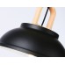 Подвесной светильник Ambrella Light TR TR8192