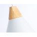 Подвесной светильник Ambrella Light TR TR8195
