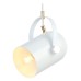 Подвесной светильник Ambrella Light TR TR8205