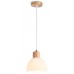 Подвесной светильник Ambrella Light TR TR83133