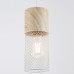 Подвесной светильник Ambrella Light TR TR8498