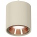 Подвесной светильник Ambrella Light XP XP7724001