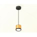 Подвесной светильник Ambrella Light XP XP8121011