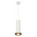 Подвесной светильник Ambrella Light XP XP8191101